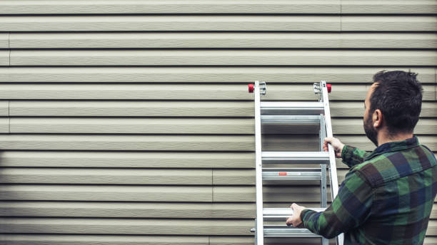 Best Siding Painting and Refinishing  in De Soto, IA